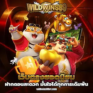 wild wins89 เครดิตฟรี